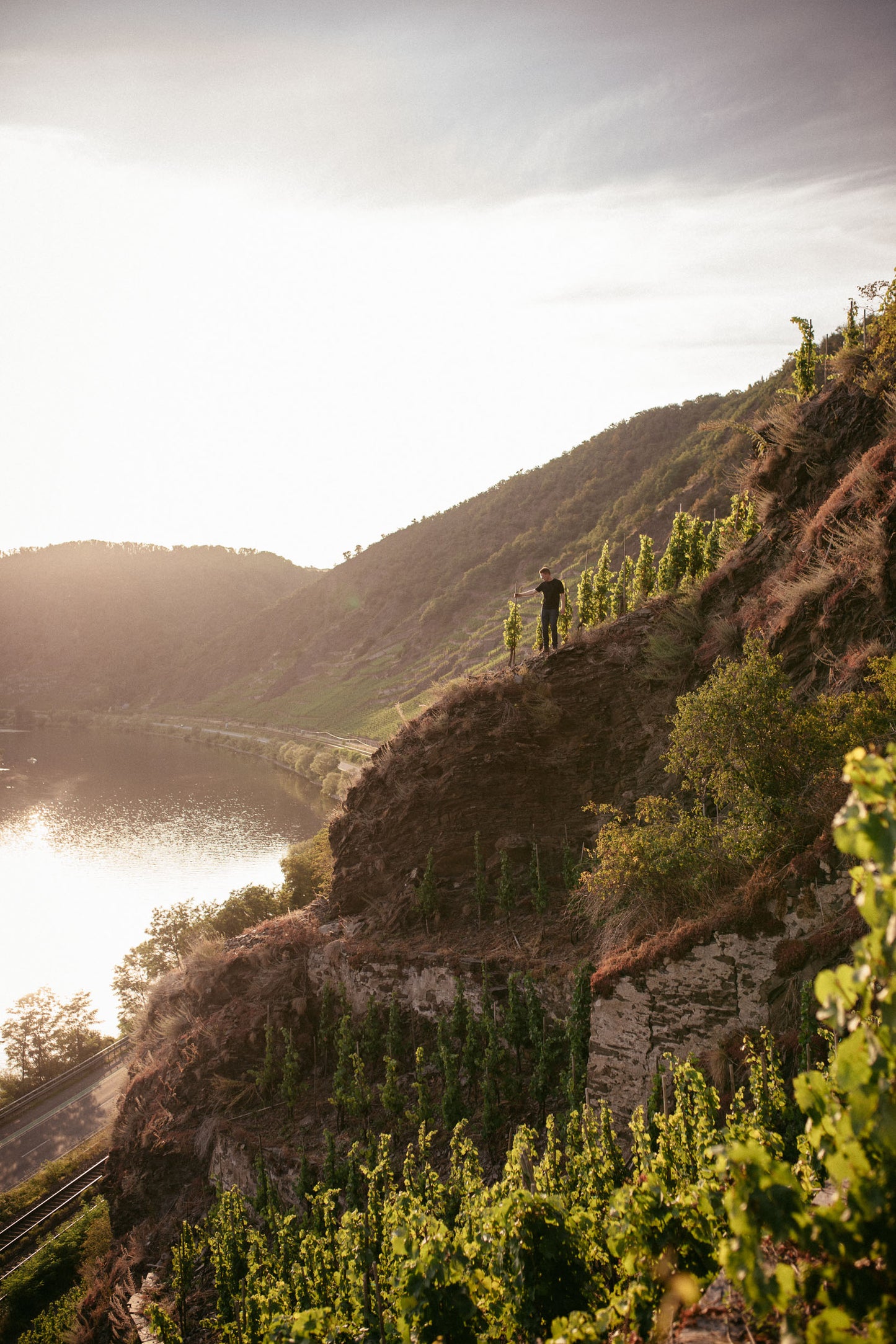 Weingut Fries