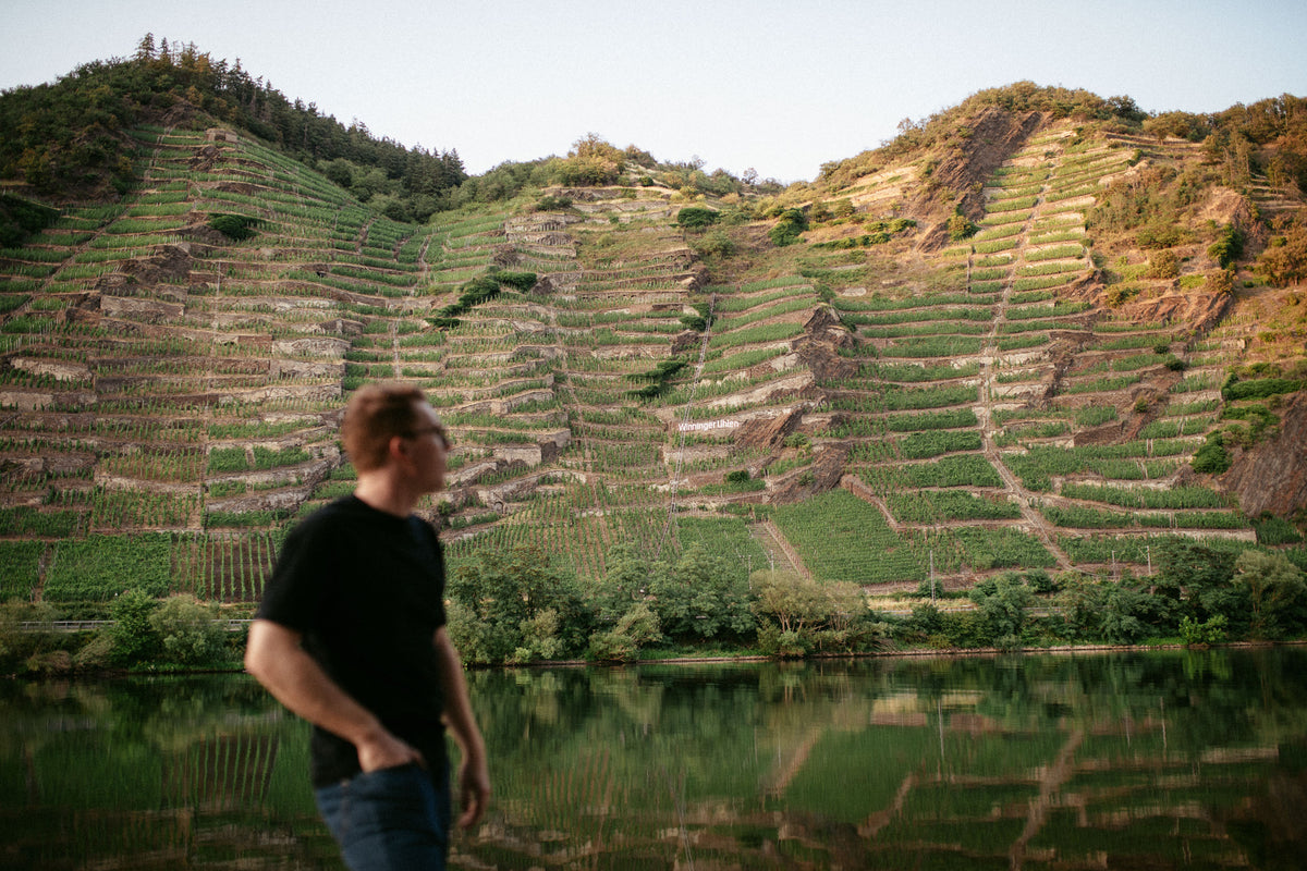 Weingut Fries