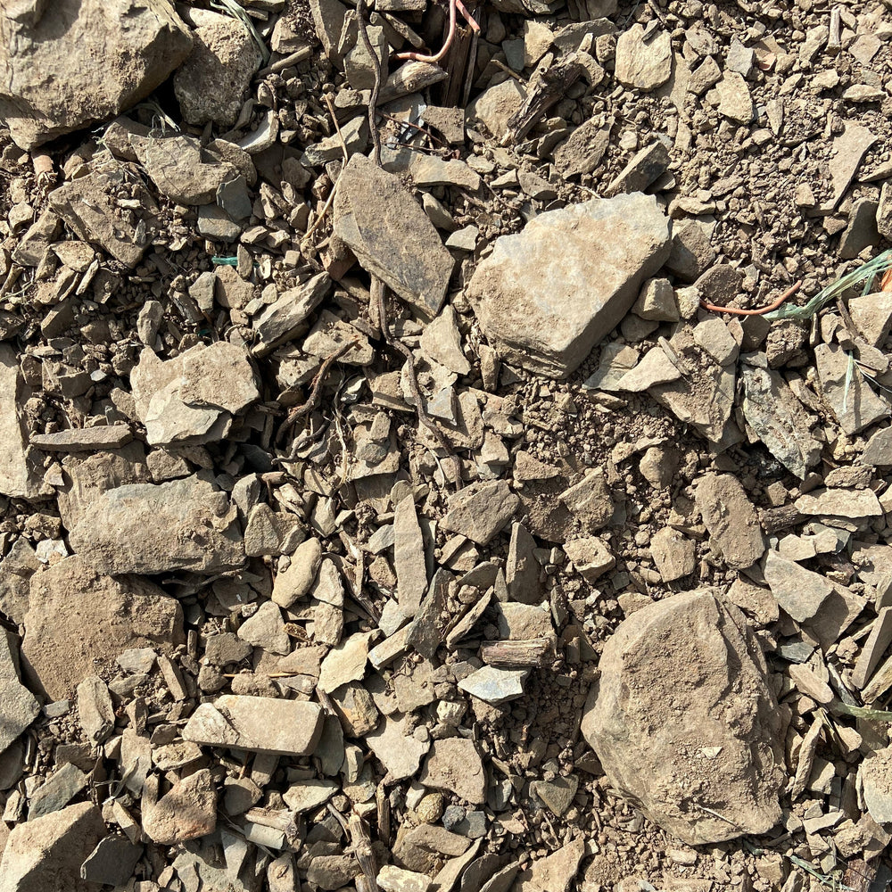 
                  
                    2022 Riesling feinherb
                  
                